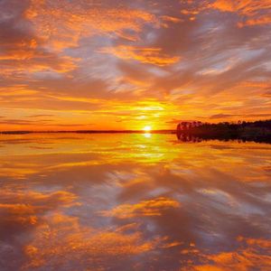 少女大白好子照片
