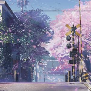 少女大白好子照片
